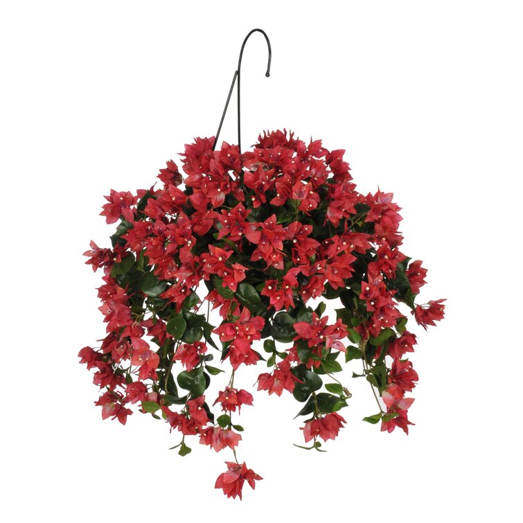 House Of Silk Flowers Artificial Bougainvillea Hanging Basket & Reviews ...